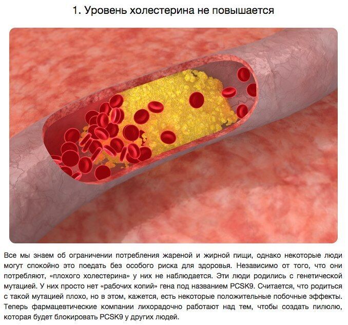 10 удивительных генетических мутаций человека