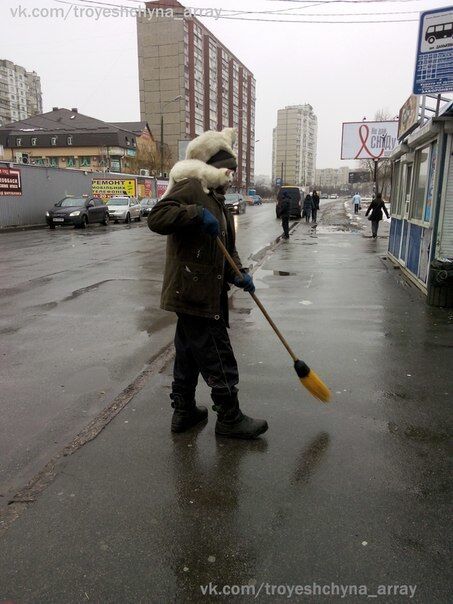 В Киеве дворник заметает улицу с двумя котами на голове: фотофакт
