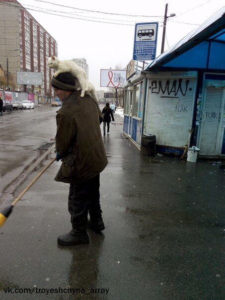 В Киеве дворник заметает улицу с двумя котами на голове: фотофакт