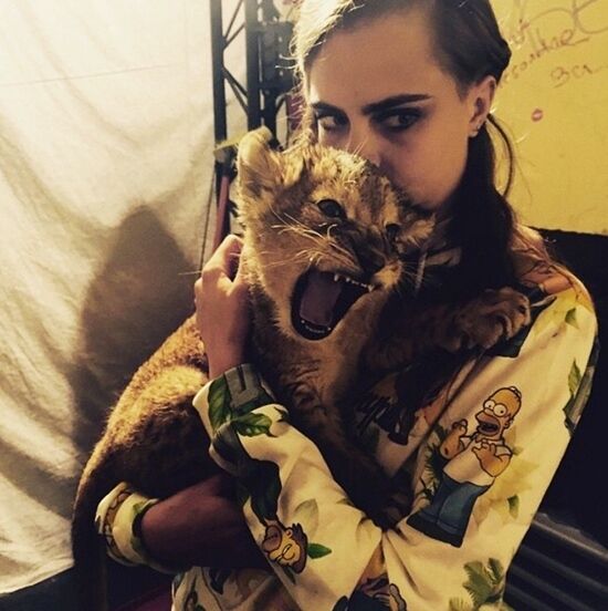 Модель Кара Делевинь устроила шоу с живым львом