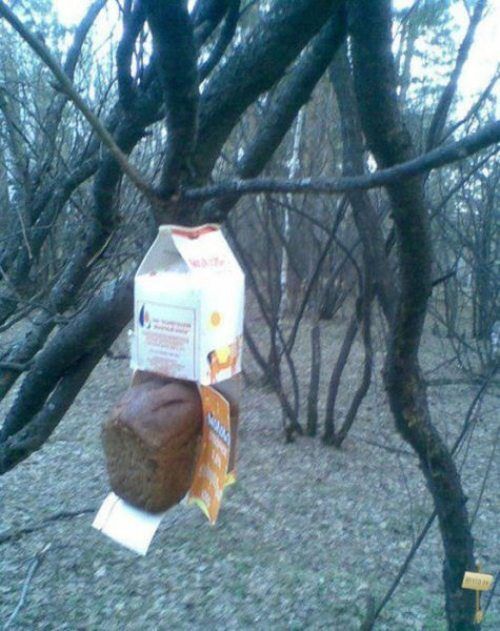 Подборка фотографий, которые можно было сделать только в России 