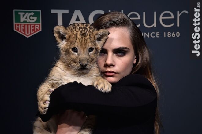 Модель Кара Делевинь устроила шоу с живым львом