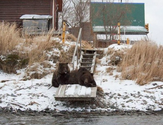Подборка фотографий, которые можно было сделать только в России 