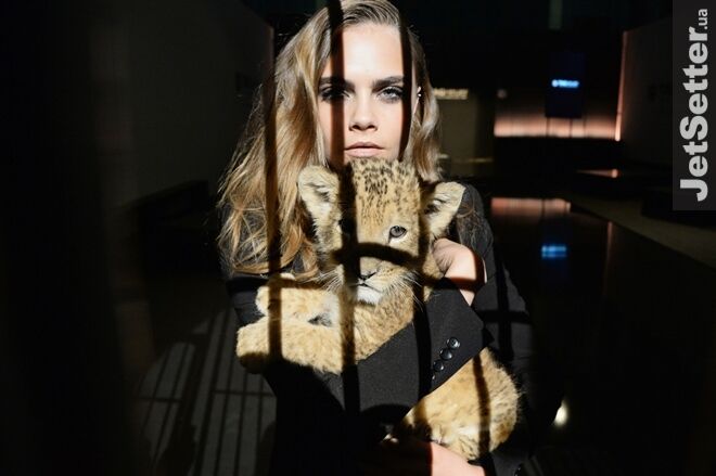 Модель Кара Делевинь устроила шоу с живым львом