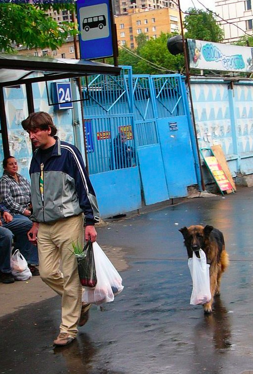 Подборка фотографий, которые можно было сделать только в России 