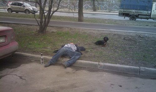 Подборка фотографий, которые можно было сделать только в России 