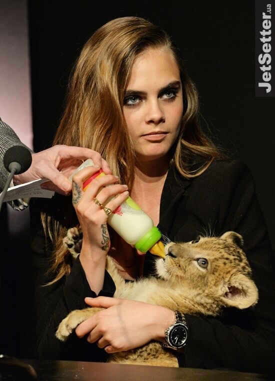 Модель Кара Делевинь устроила шоу с живым львом