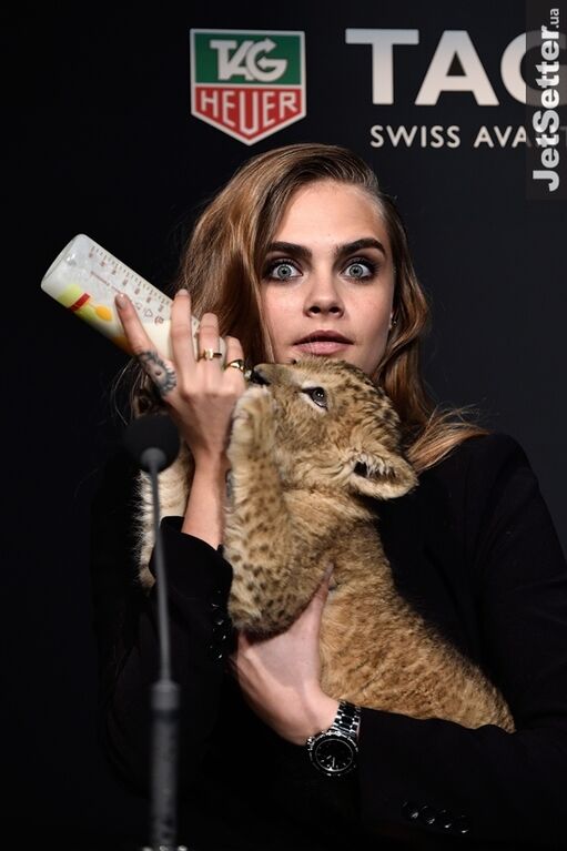 Модель Кара Делевинь устроила шоу с живым львом