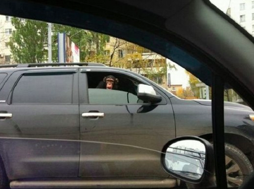 Подборка фотографий, которые можно было сделать только в России 