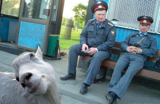 Подборка фотографий, которые можно было сделать только в России 