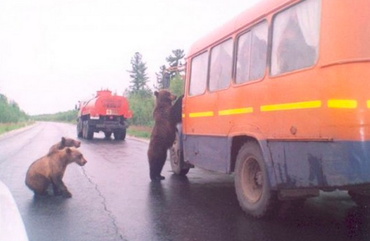 Подборка фотографий, которые можно было сделать только в России 