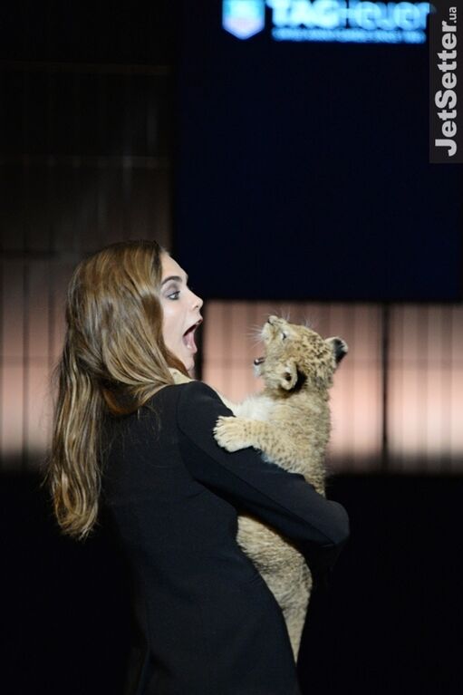 Модель Кара Делевинь устроила шоу с живым львом