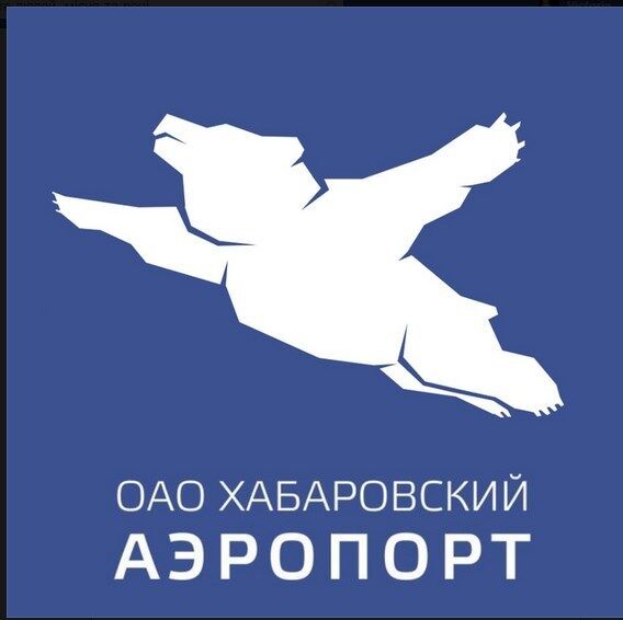Хабаровский аэропорт шокировал россиян логотипом: дизайнер находился в измененном состоянии сознания