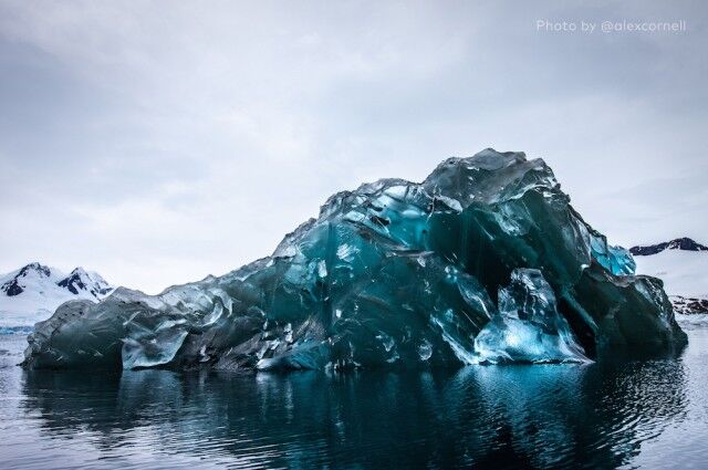 В Антарктиде сделаны снимки редкого явления: перевернутого айсберга
