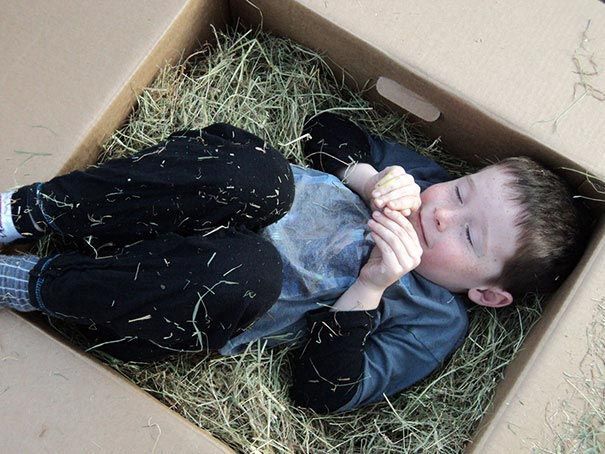 Смешные детишки, которые слишком подружились с животными