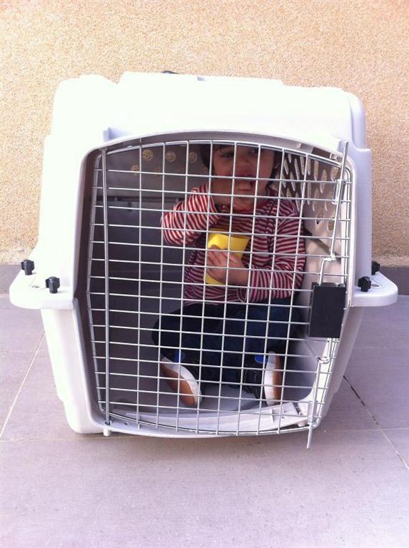 Смешные детишки, которые слишком подружились с животными