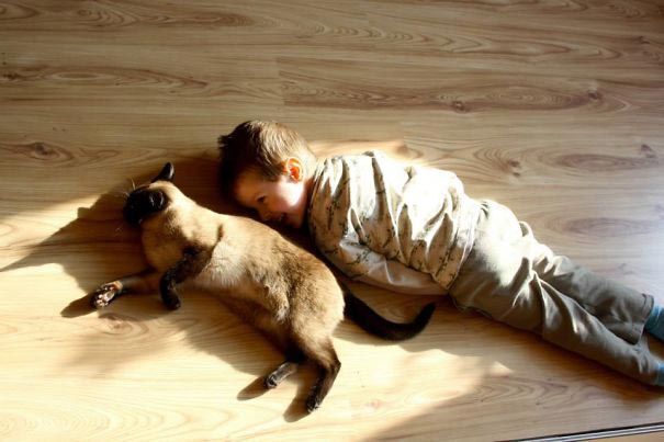 Смешные детишки, которые слишком подружились с животными