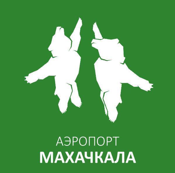 В сети нещадно поглумились над логотипом Хабаровского аэропорта с летающим медведем: фотожабы