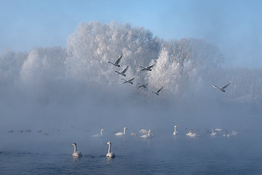 17 фотографий о том, что зима — это настоящее волшебство