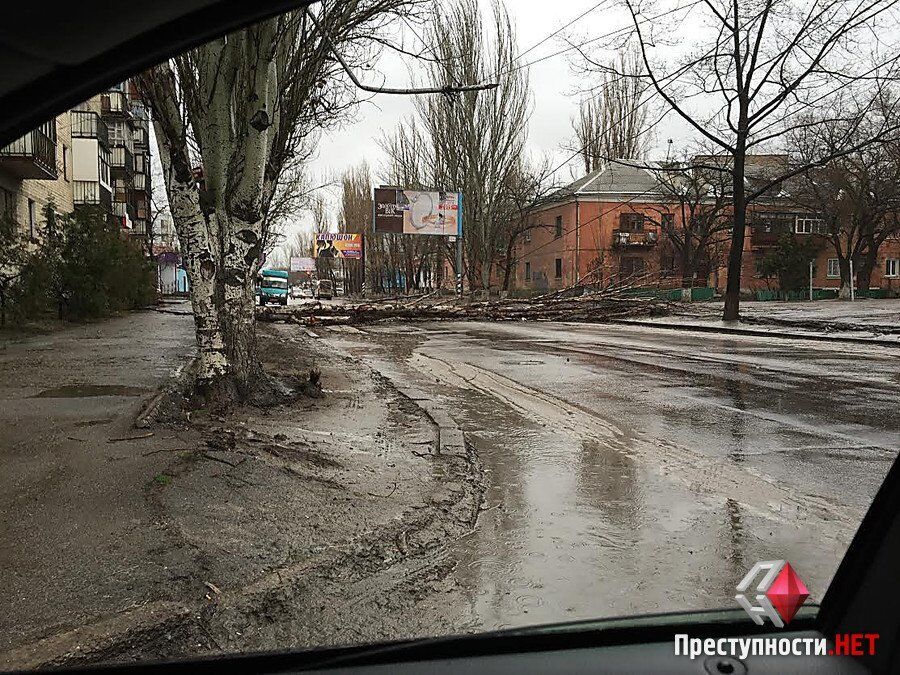 Ураган на Николаевщине: усиливающийся ветер ломает деревья и срывает крыши. Опубликованы фото