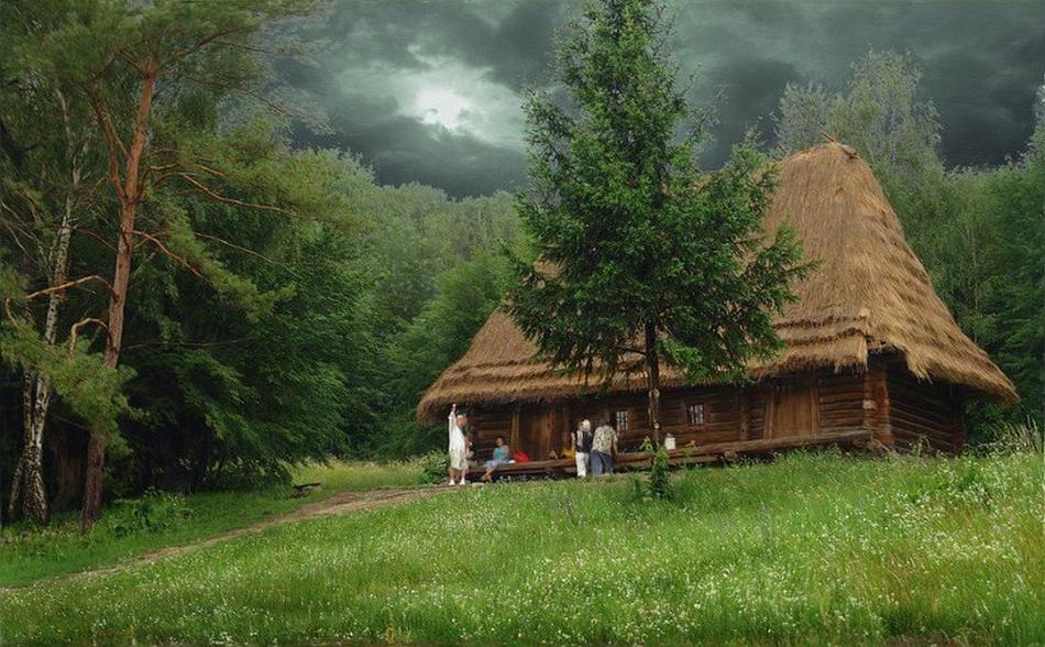 Самые красивые дома для отдыха в лесу