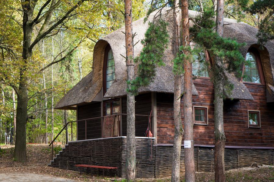 Самые красивые дома для отдыха в лесу