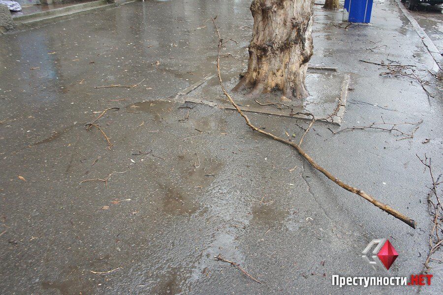 Ураган на Николаевщине: усиливающийся ветер ломает деревья и срывает крыши. Опубликованы фото