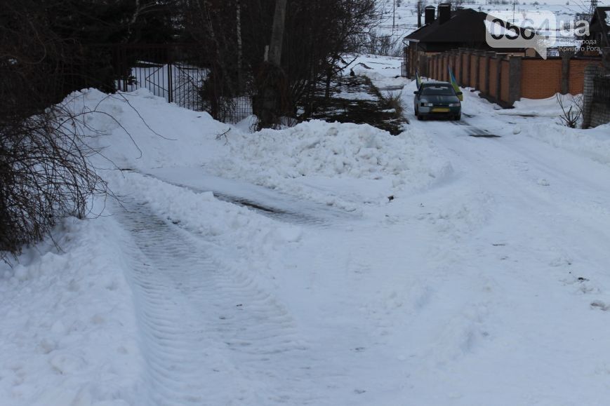 Активисты высыпали 5 тонн снега под особняк отца Вилкула: опубликованы фото