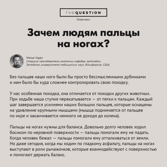 Почему люди думают, что их сэлфи кому-то интересны: опубликована подборка неожиданных и странных вопросов