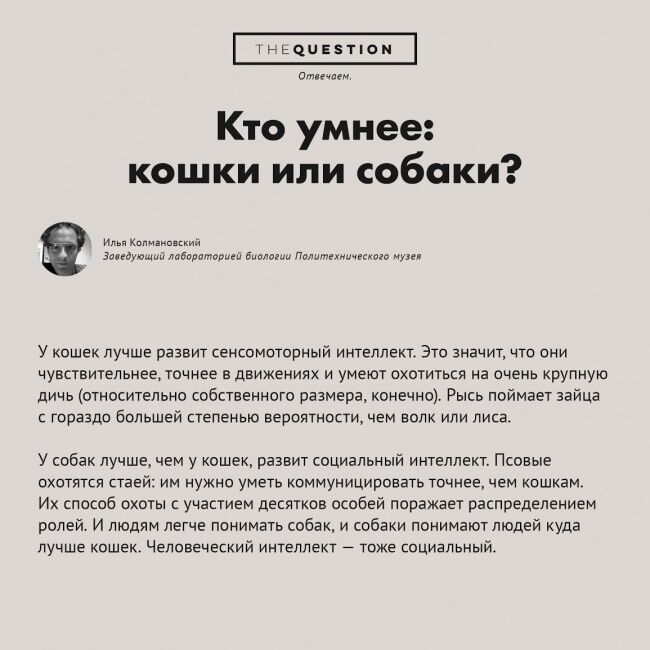 Почему люди думают, что их сэлфи кому-то интересны: опубликована подборка неожиданных и странных вопросов