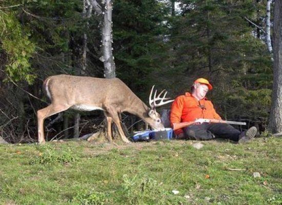 Забавные фото людей,  которые решили вздремнуть в самых неожиданных местах