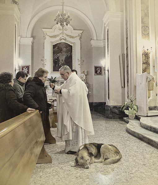 Трогательная история пса, который регулярно ходит в церковь