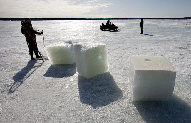Россиянка больше 10 минут плавала в ледяном море с двумя белухами