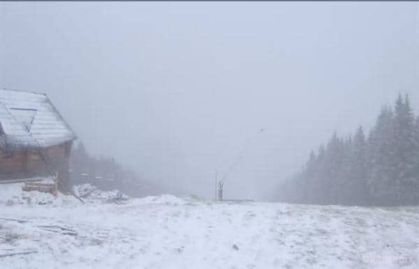 Осенний сюрприз. В Украине выпал снег: опубликованы фото и видео