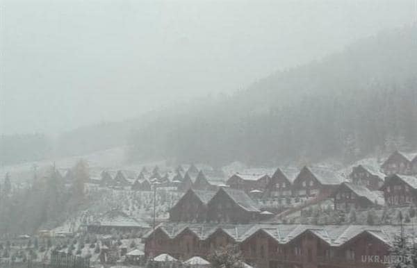Осенний сюрприз. В Украине выпал снег: опубликованы фото и видео