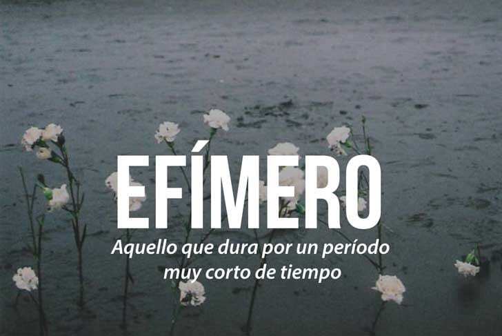 Мир отмечает День испанского языка: самые красивые слова и выражения