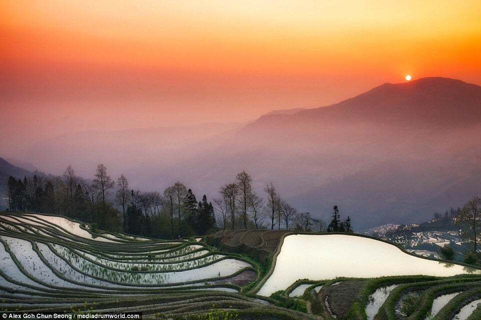 Земля тысячи зеркал: фотограф сделал захватывающие снимки рисовых полей Китая