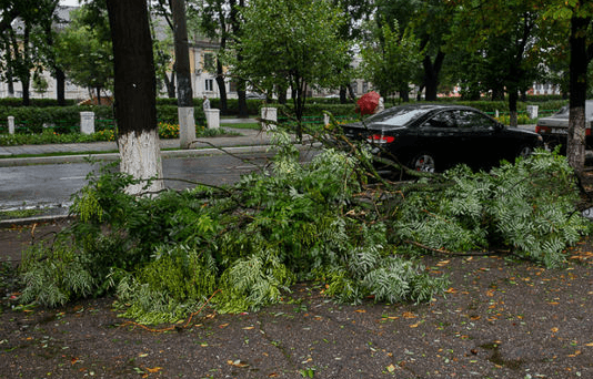 Одессу накрыла буря: 5-метровые волны и вырванные деревья