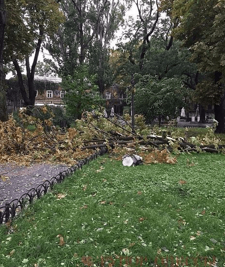 Одессу накрыла буря: 5-метровые волны и вырванные деревья