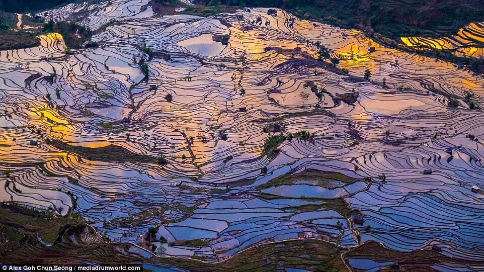 Земля тысячи зеркал: фотограф сделал захватывающие снимки рисовых полей Китая