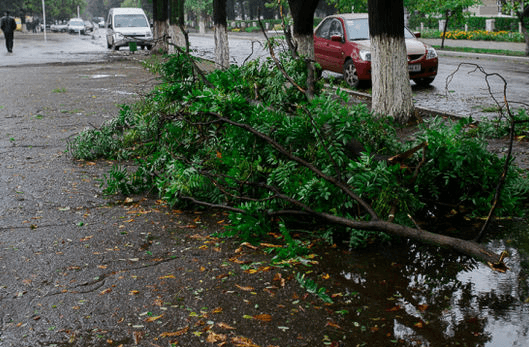 Одессу накрыла буря: 5-метровые волны вырванные деревья, опубликованы фото и видео