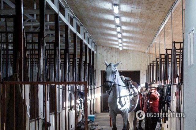 Уикенд украинских политиков: как провели выходные Кличко и Тарута