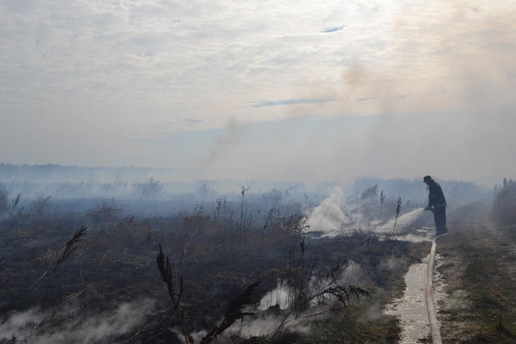 Під Києвом виявили нові пожежі на торф'яниках: палає 15 гектарів