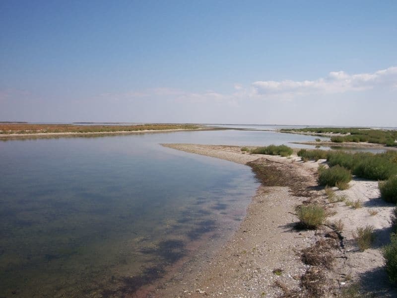 Приголомшливі куточки України: чому варто відпочити на Кінбурській косі 