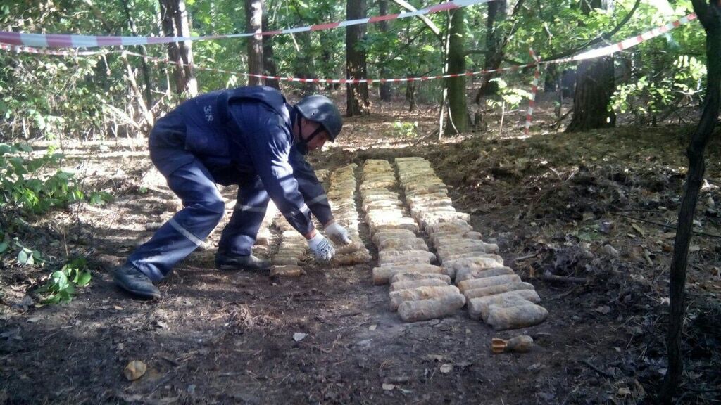 В лесу под Киевом обнаружено более 1000 снарядов
