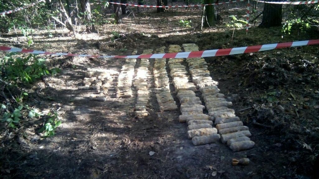 В лесу под Киевом обнаружено более 1000 снарядов
