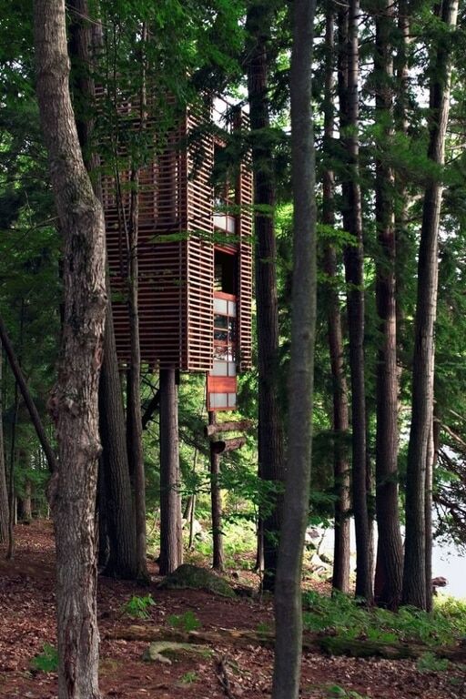 Мечты взрослых детей: самые безумные домики на деревьях