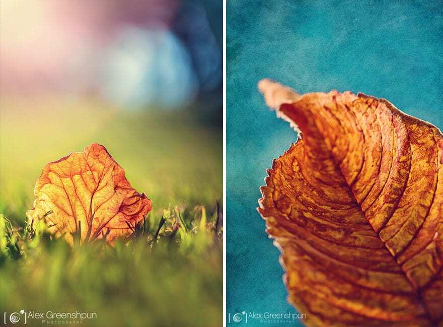 Чари осені: приголомшливі знімки ізраїльського фотографа
