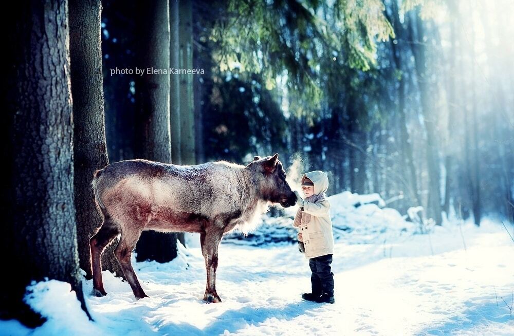Дети и животные: невероятно трогательная фотоподборка