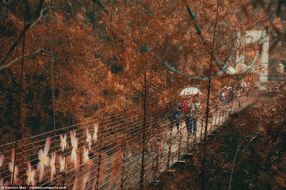 На Тайване открыли стеклянный мост, от которого у туристов захватывает дух